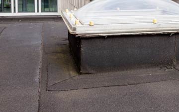 disadvantages of Caerdeon flat roofs