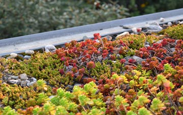 the cost of Caerdeon green roof installation