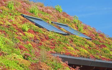 Caerdeon living roof systems