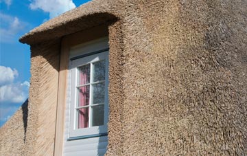 Caerdeon thatch roof disadvantages