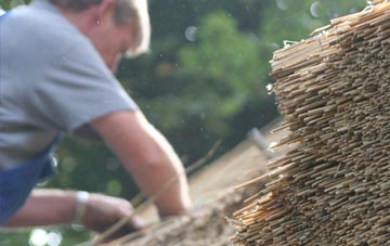 professional Caerdeon thatchers